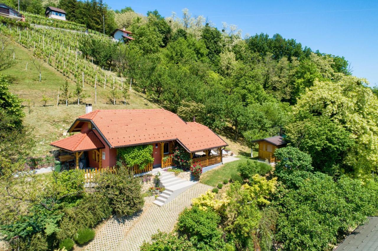 Kuca Za Odmor Hiza I Vila Krapina Exterior photo