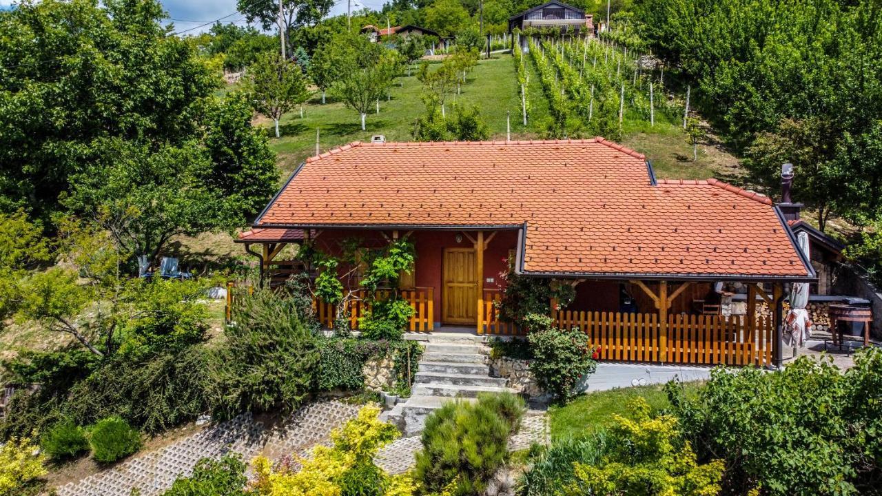 Kuca Za Odmor Hiza I Vila Krapina Exterior photo
